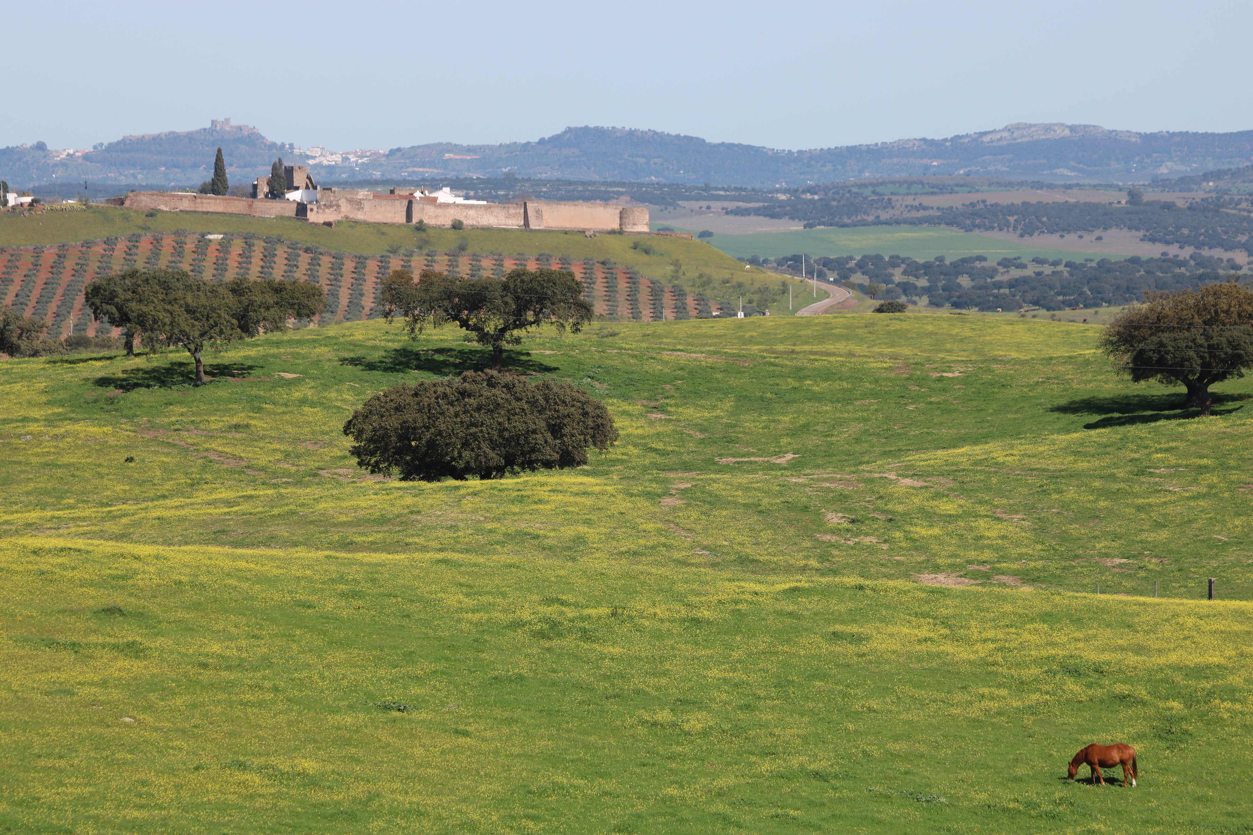 Ouguela Entre Cal e Mel