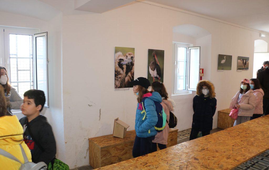 IV Festival dos Grous começou com atividades para a comunidade escolar